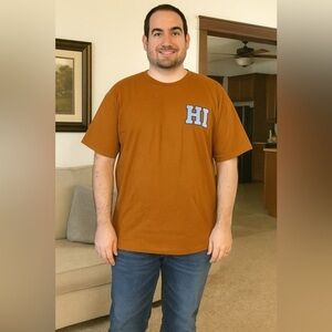 NWT Mens Original Use Graphic Shirt. Size  L Tall. Oranges